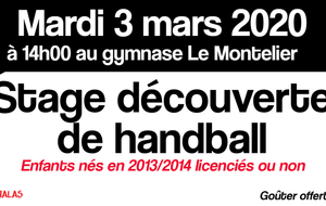 Stage découverte de Handball